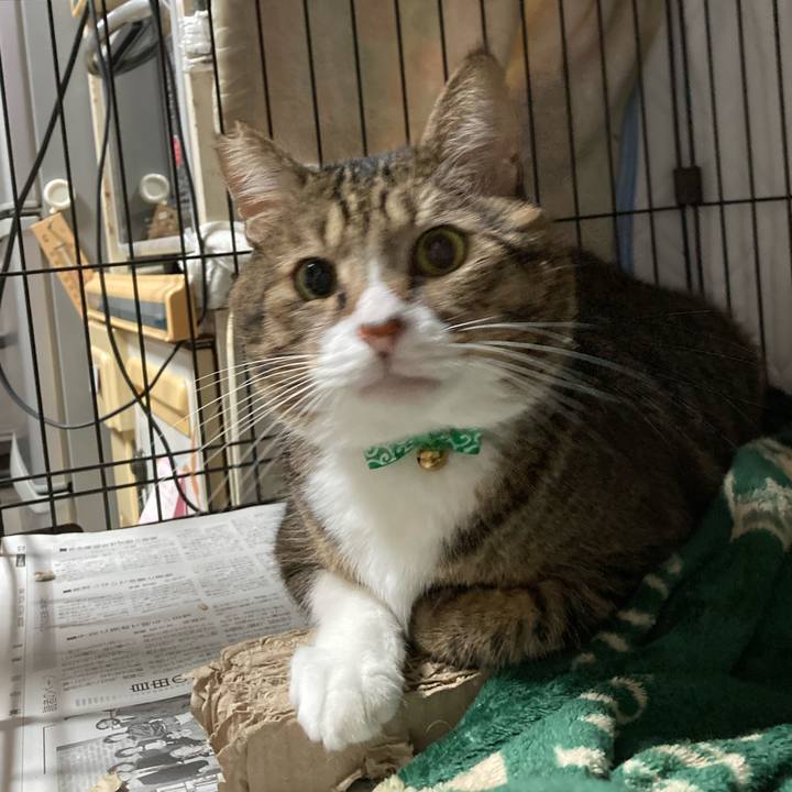 3be10fb7 b753 4860 9b8e 6bc634cf00de 1602822859473