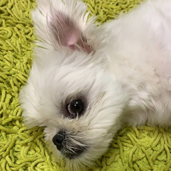 3be1102f c646 4968 bdef 04ed9ad4bc26 1632060131831