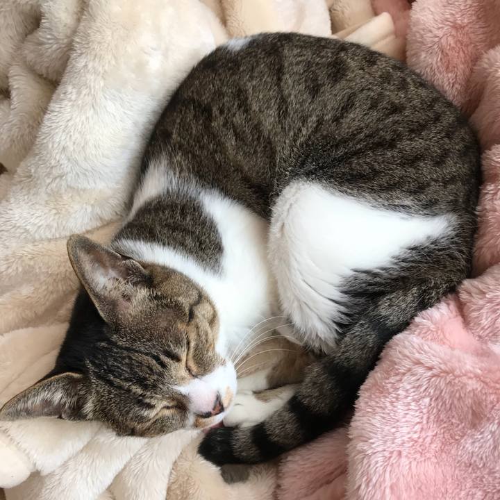 3be15bf4 de5f 4ca3 b6d2 47213a4f1574 1523410432172