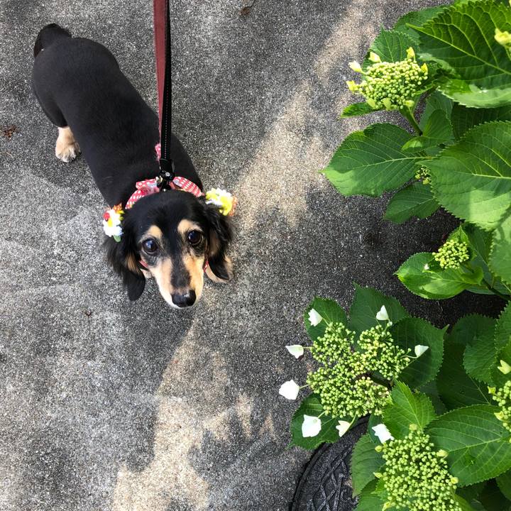 3be17c9a 98f3 4c81 8086 09f556709ea1 1590539097482