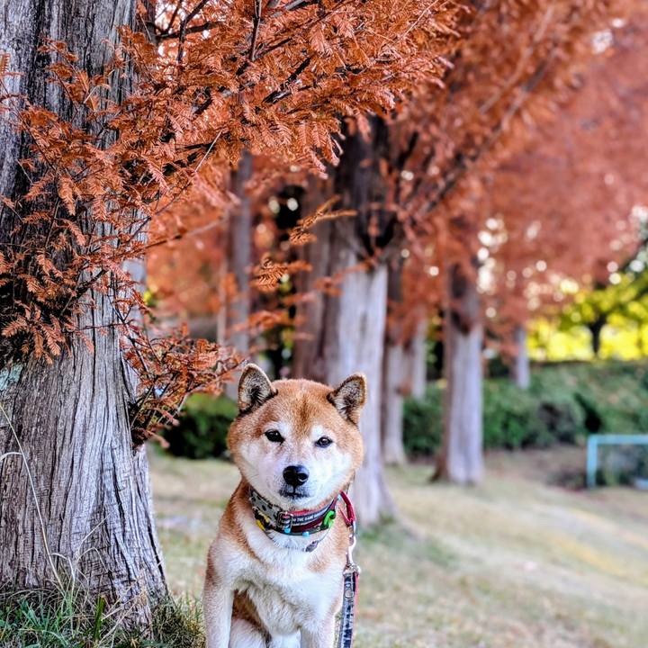 3be1906d 21c7 4f85 b61b 7602a98c58a8 1764288424704