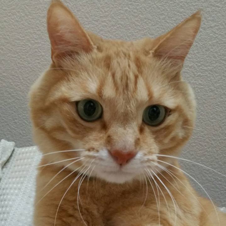 3be19d6e 0cbd 4d4f ad38 d8b6aa8f74df 1562973397290