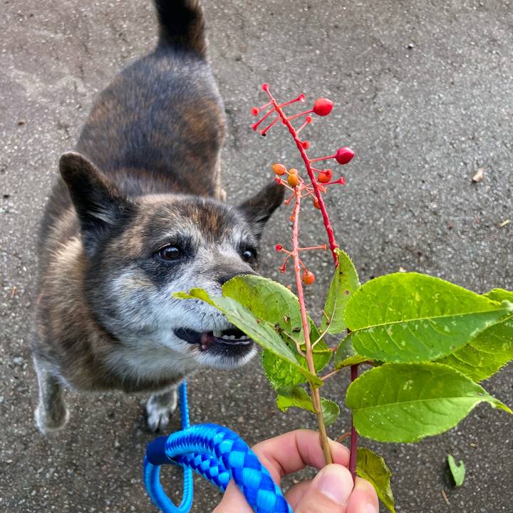 3be1af05 c5eb 4591 8d41 ed88e9d8aed2 1660690131507