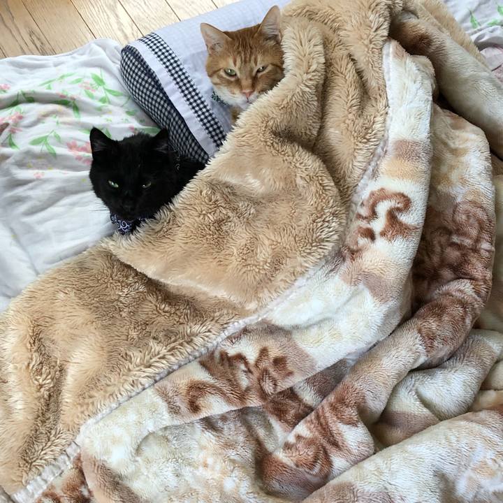 3be1e4eb ff3b 4dc0 8c8a c92ec0cced7b 1580010809846