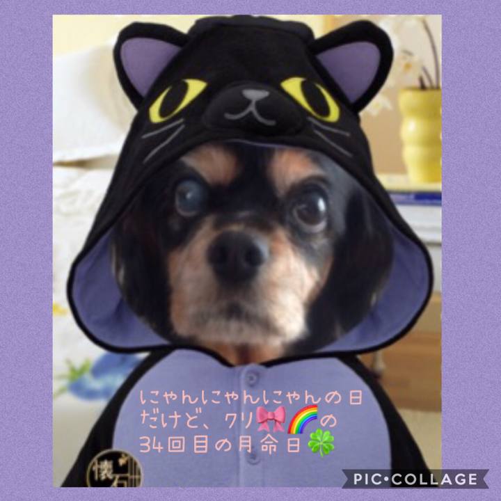 3be20928 9019 4c6f bcab fa1d59054e8b 1550787682967