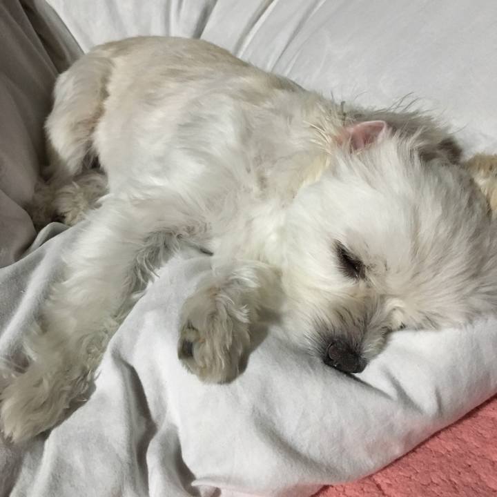 3be209fe 4bfd 4029 ab63 88c9cb74bc01 1510143524679