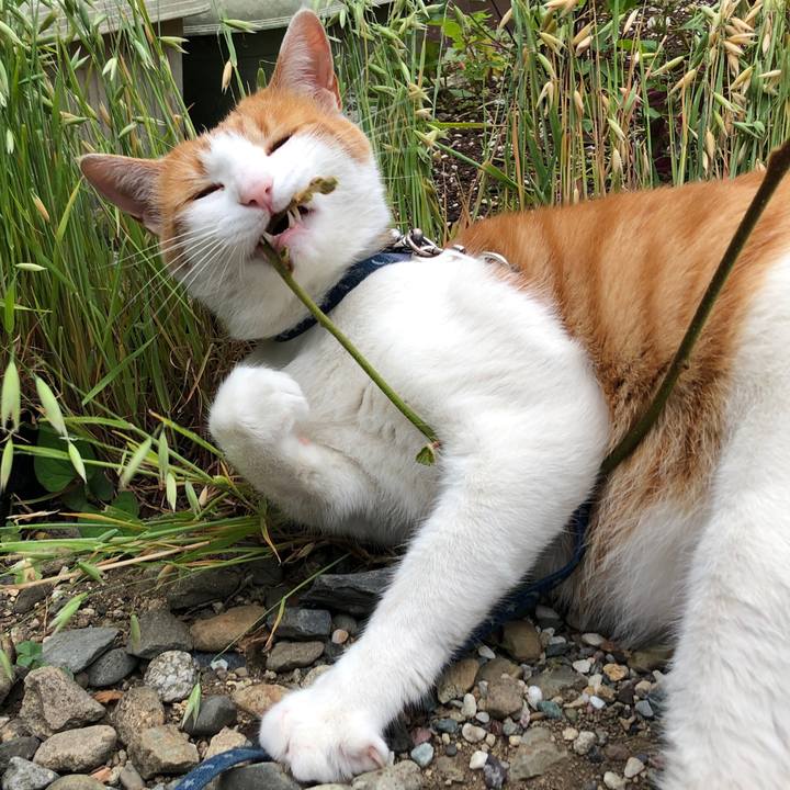 3be21d5f 8952 4a18 b759 af955d0c105f 1559048050592