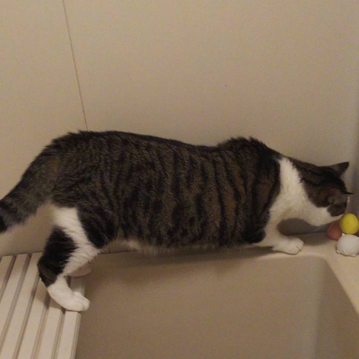 3be229cc bf37 4551 8150 33b269a6be8c 1664543659269