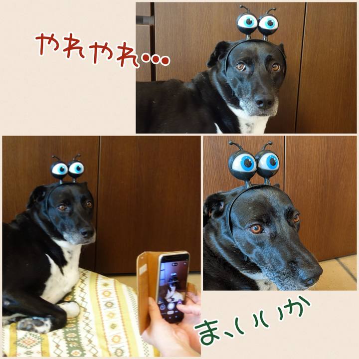 3be2342f 61cc 4a61 917c 3b13422c8b96 1662376763480