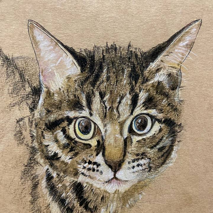 3be25c22 3d88 46e9 9a67 cdd3ce9f3876 1617981897032