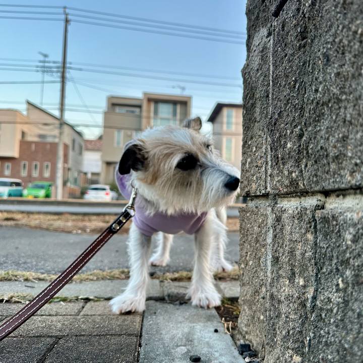 3be26849 f34a 45fc ab40 d961bc5ea915 1733304193918