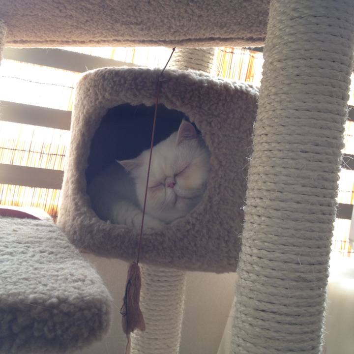 3be26ae6 33f5 4843 a0b4 e5811461de0d 1527949402650