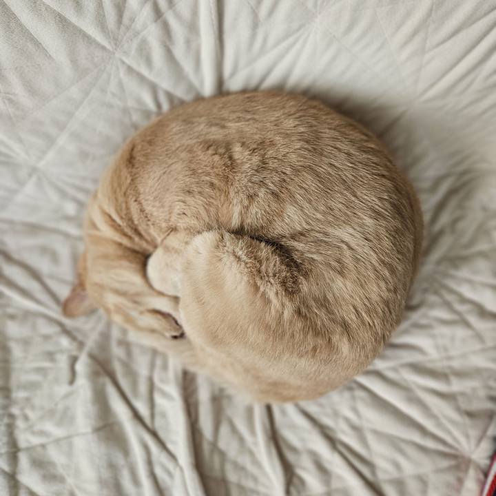 3be2817b 35ca 4dca a094 8ed490f97a02 1708150599407