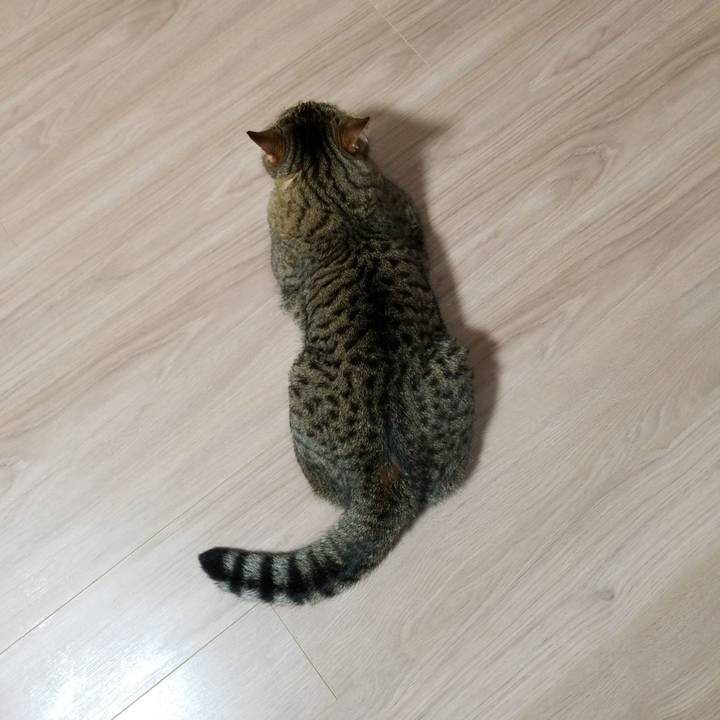 3be31ca5 d59a 4374 a784 dd4815df9dad 1566422558004