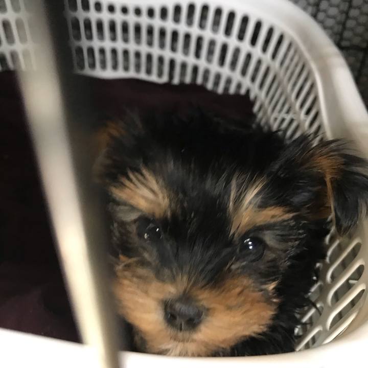 3be338a4 fbfd 444b ba85 2119f53d9390 1613436485223