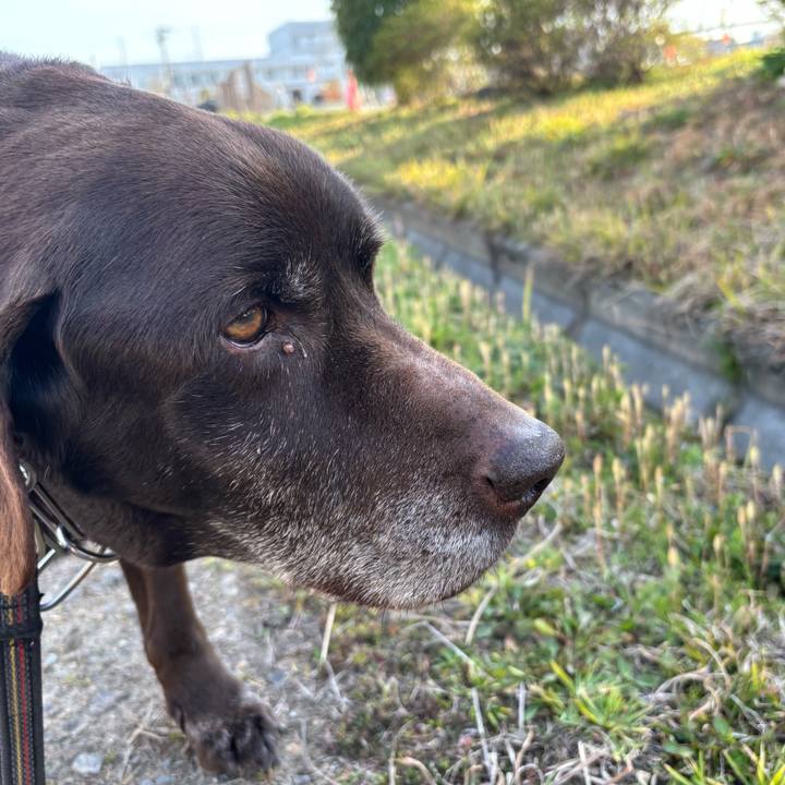 3be352d4 b5ac 4427 822c 764ee9349761 1773663506289