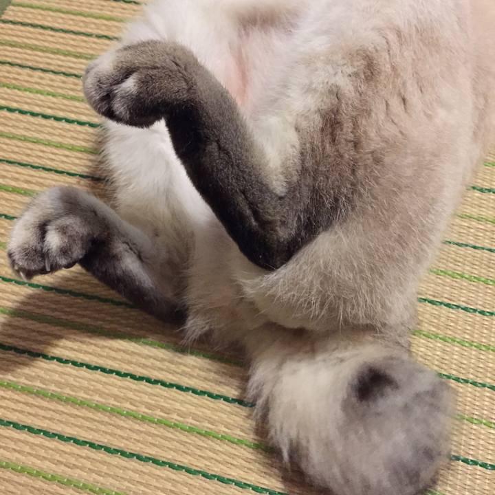 3be37048 f0db 4cbf b77c b4c1971911cb 1538045672673