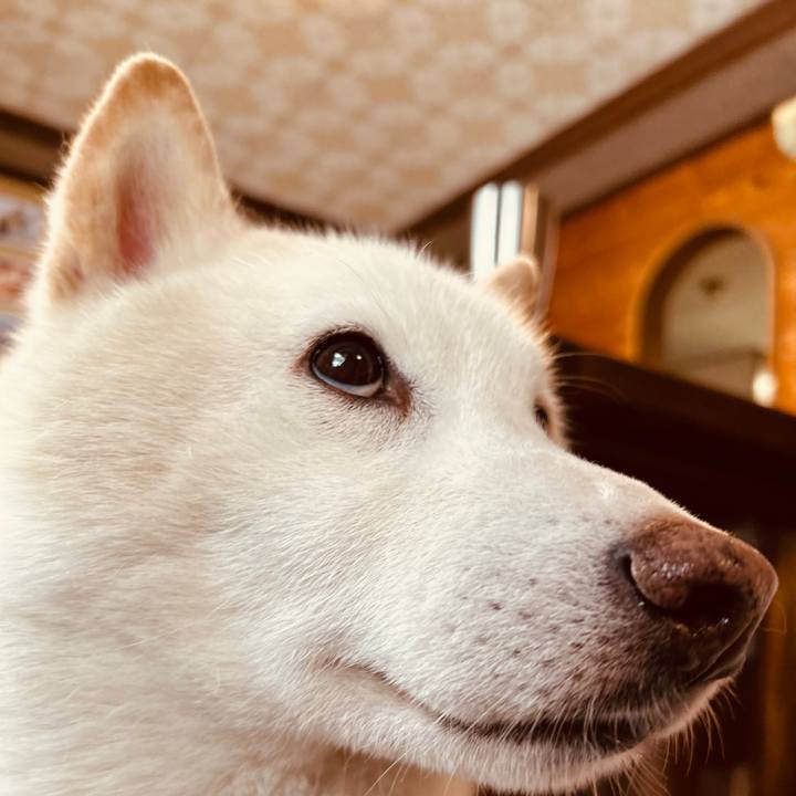 3be38b40 8f6a 4817 a8a6 4bc1f95c7fa5 1741998257945