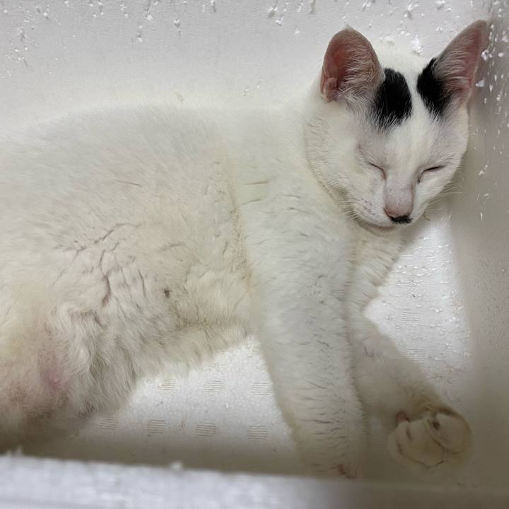 3be3bb21 6ec2 4e7e b0c7 197deaa481b7 1626358882602