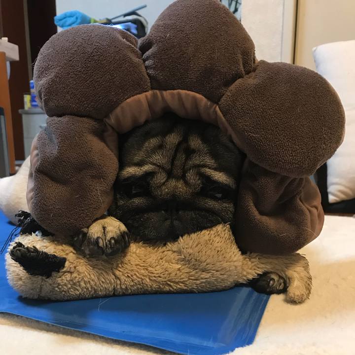 3be3e4d4 1f1f 428a a56f 0ab33e027caa 1530707142943