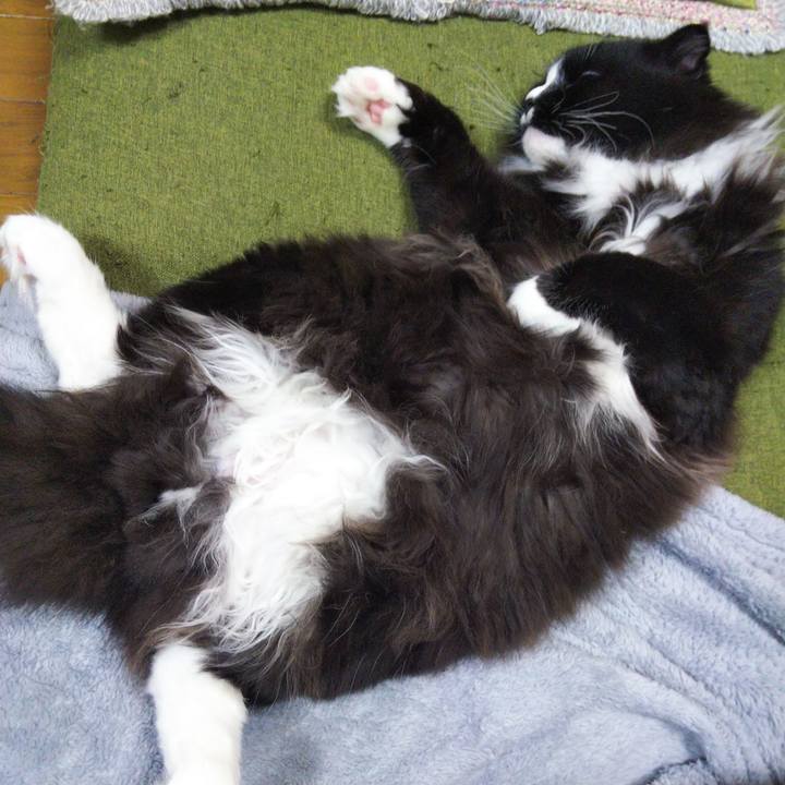 3be3f5a0 5230 4a9c ac26 a9cd09608d0d 1652671967321