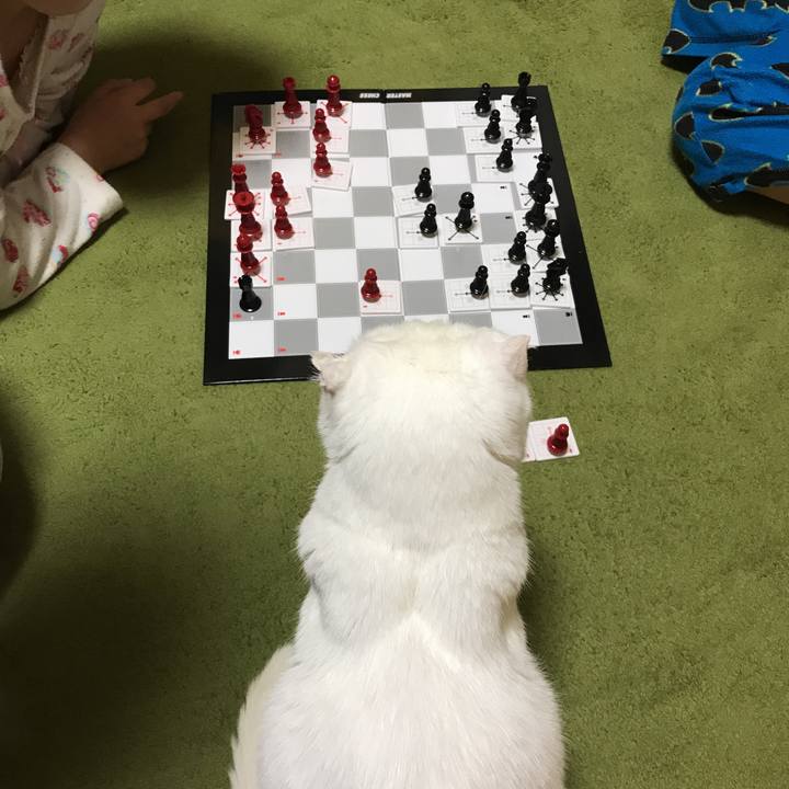 3be409bb 206a 48ab a65c 4aa5d8358d75 1511010706023