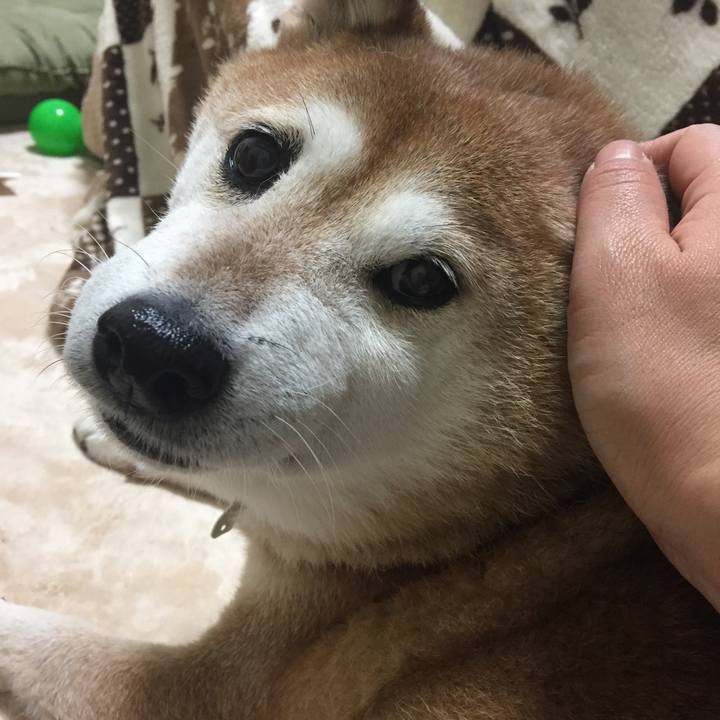 3be40ba3 b0eb 4583 99a6 646b5ef4a8e7 1511952551231