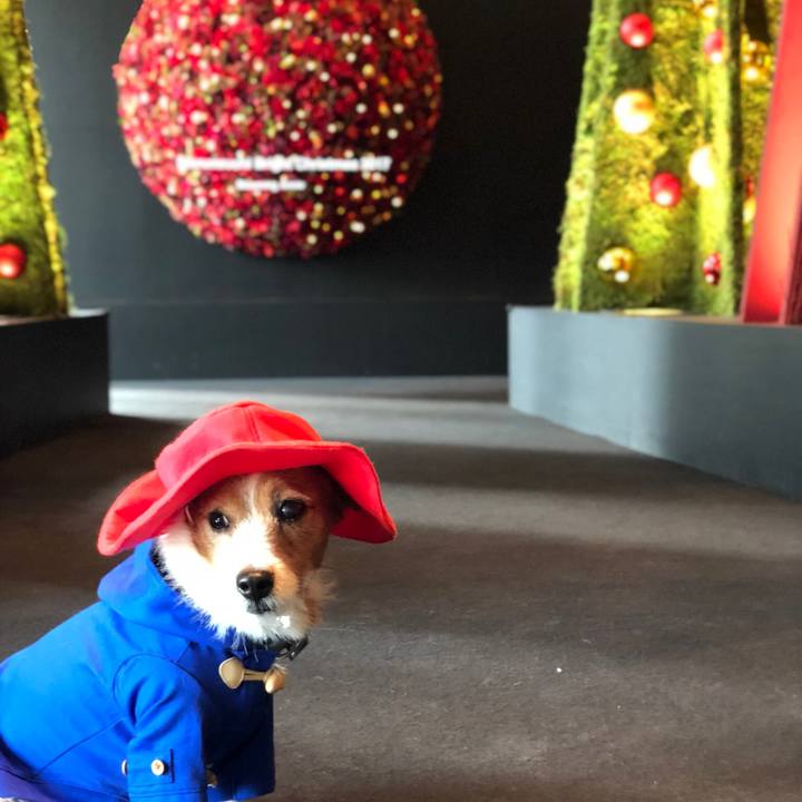 3be451fb e1be 4a81 b325 65f710432fee 1511443007129