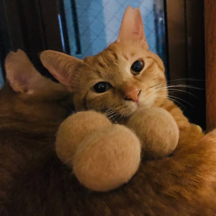 3be45db4 273c 469e bdbb b1d5dcfd406d 1589541979250