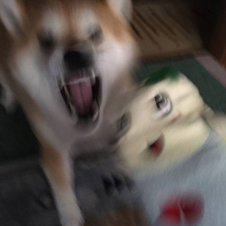 3be46eb0 4bac 453c 850e 91abaedcffbd 1580173760534