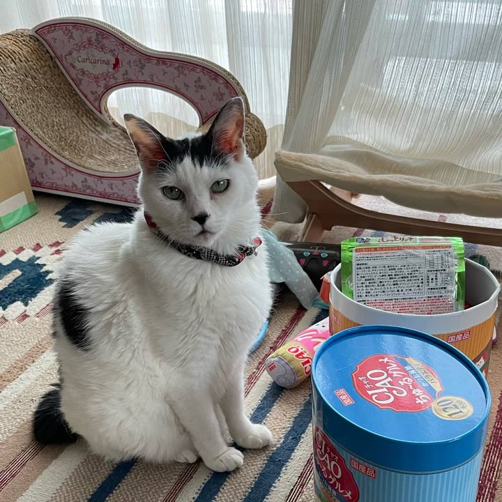 3be4986b a8b3 48de 8f58 7ab7153b0e7e 1754977068673