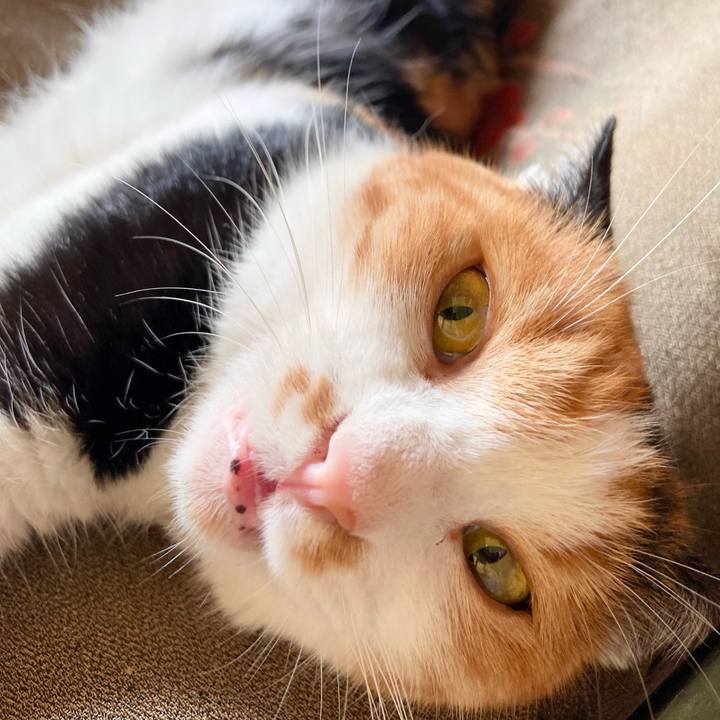 3be49f4e 6efa 443e b2c8 0663d8583f87 1661764150737