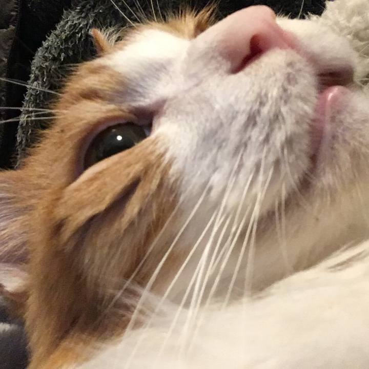 3be4a31c 2407 4e8e af1e e1a400479aa1 1576934253885