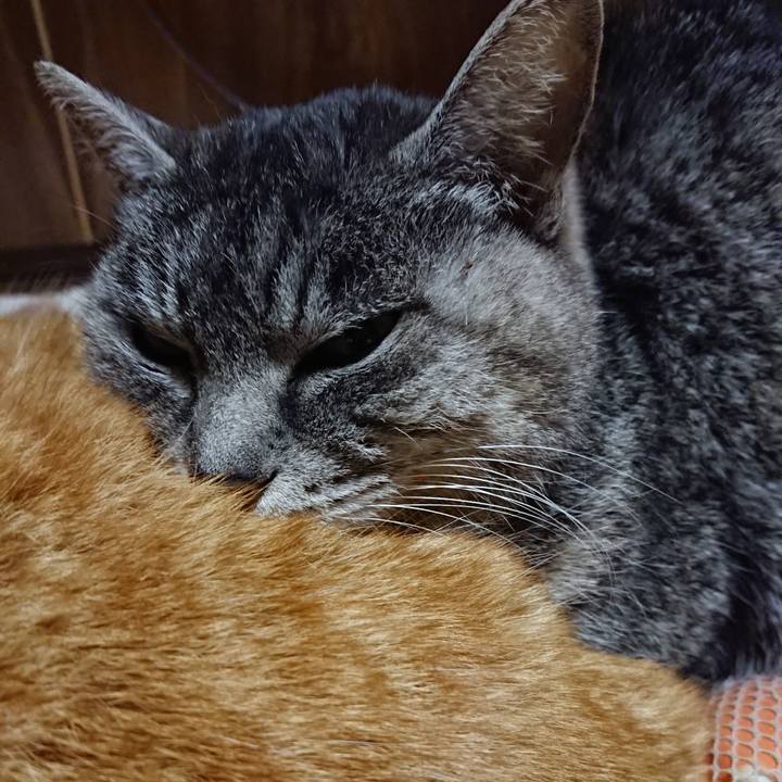 3be4e57c 5dd6 46de 976b 63fd9658e404 1581078547618