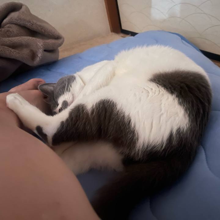 3be500d3 fa45 4245 be8d fa34e44eb69f 1654389855806