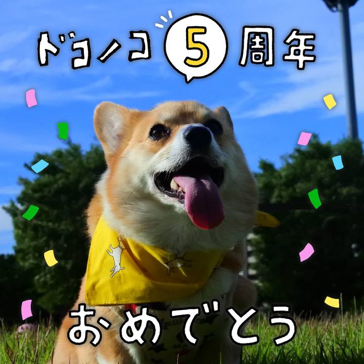 3be53925 158f 46af bad0 fc17d42604b8 1622901078982