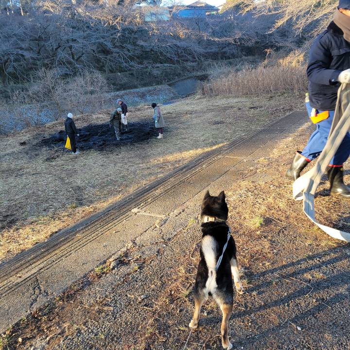 3be56539 ee44 4355 820c 0e64149448ae 1768177898728