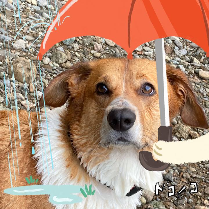 3be578b1 b085 4b7b b379 bdbf9f8cd650 1749092071545