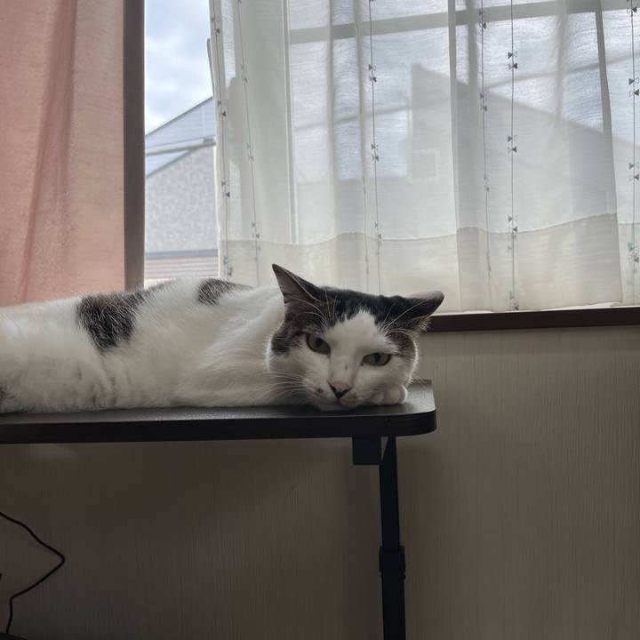 3be593f6 3c82 46f7 823a 065ef515aba0 1716686243245