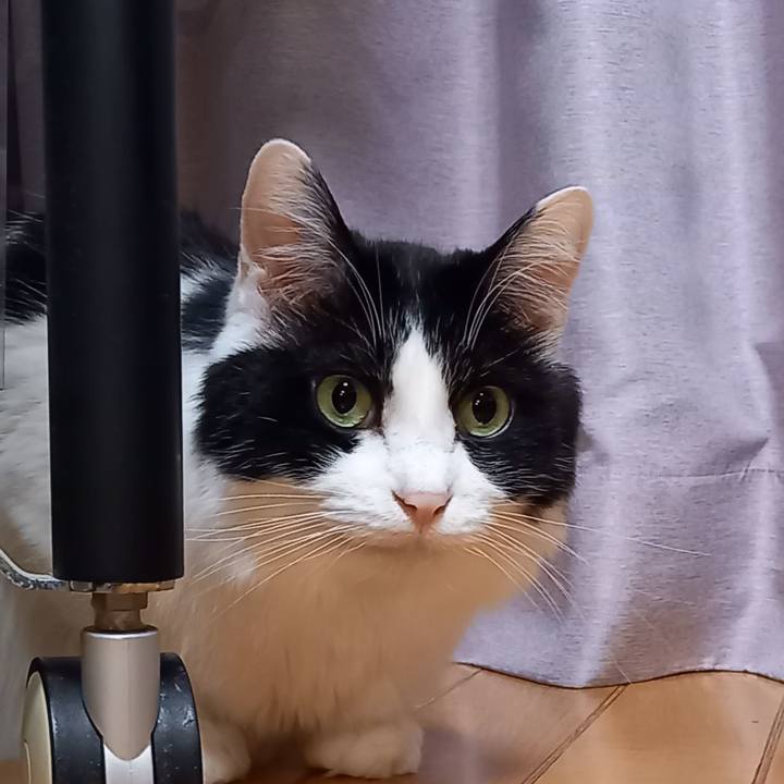 3be5a084 b0cc 41ff aa97 0c91baed1352 1648424066206