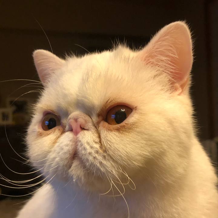 3be5ab85 e6d9 4a26 a76b e2ab44499489 1606657575101