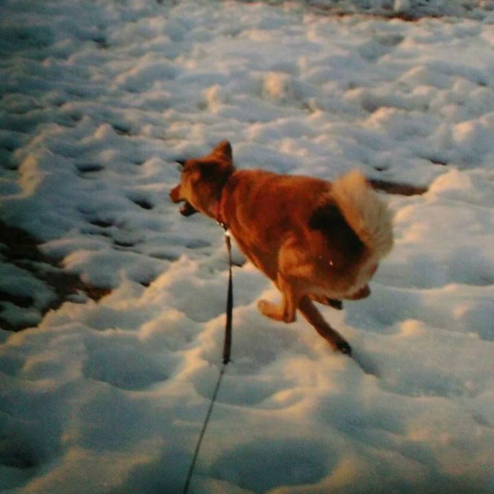 3be5f853 e33c 4c02 9d1d 3f1421368110 1641566127182