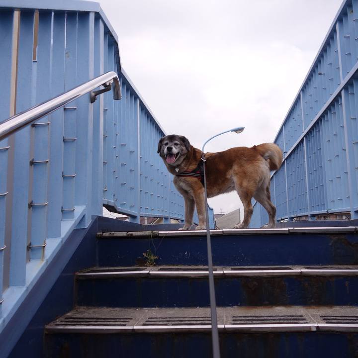 3be607cb 19ac 441a a06c 81cfbd72eba0 1668733096346