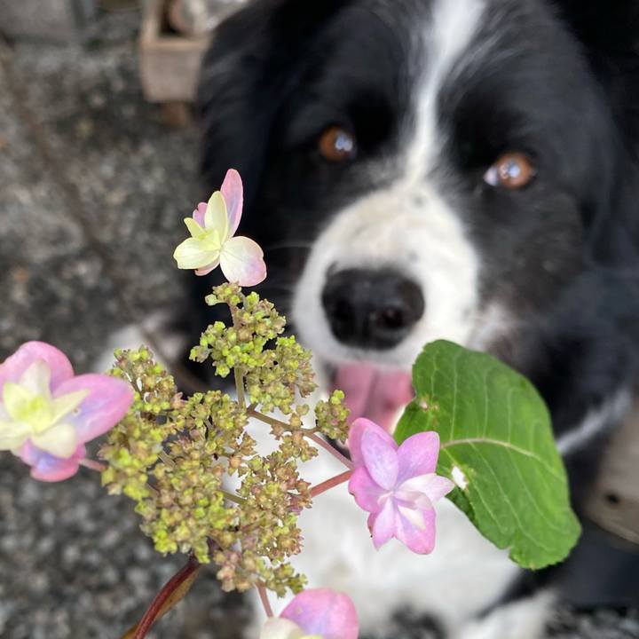 3be677e7 c8e7 402c b78b 307576a0c5db 1620871265663