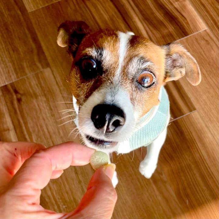 3be686ab 2e34 4fae 8060 ad2524674710 1746057014121