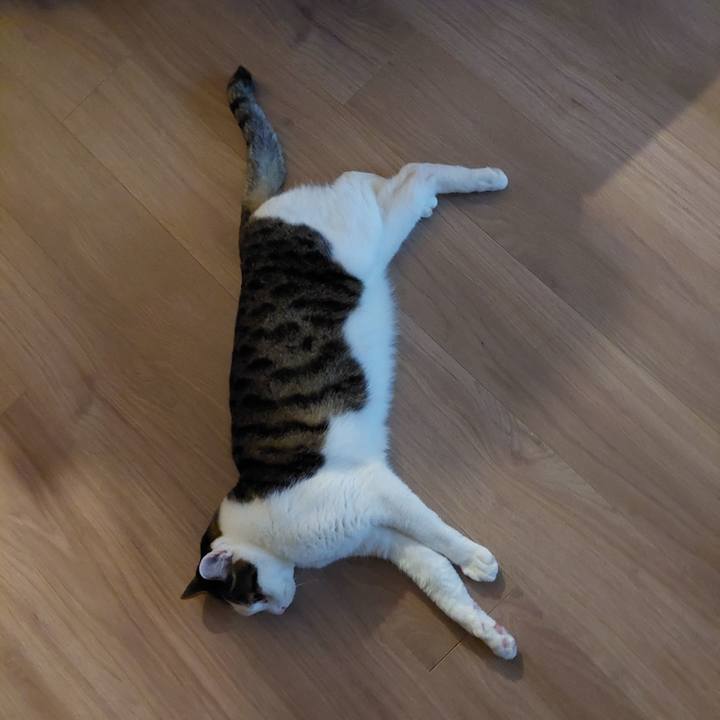 3be68cee 8206 464e 9e1d b3b042ac9167 1740080471653