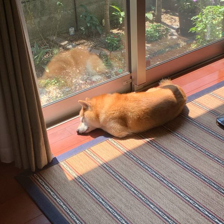 3be69508 6f26 4ba4 8e36 7f6ecc4d1949 1692587474552