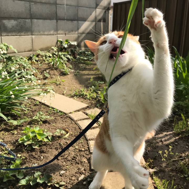 3be6abe3 0832 41f4 869a 4831a9ec7215 1525523828350