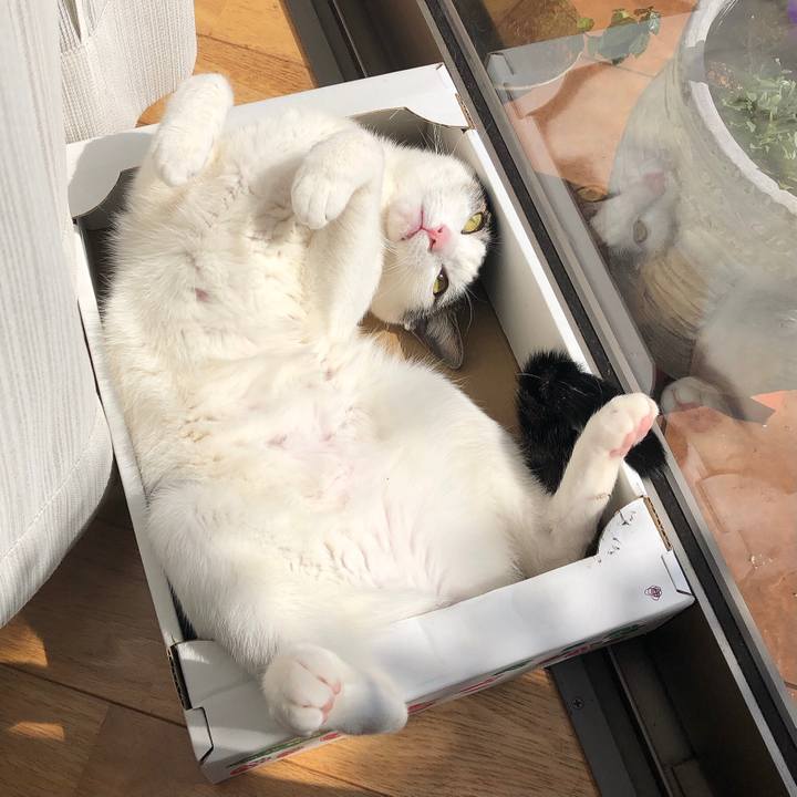 3be6dda3 0807 450a a917 cad374065f5f 1616476377741