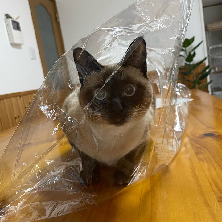 3be6fea1 71f0 4397 b38b c1168e7f1e88 1728422259457